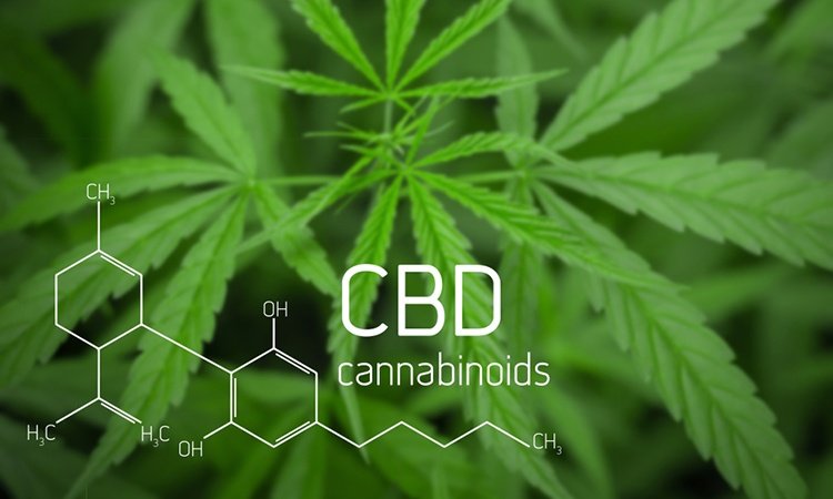 Cannabidiol Inhibits SARS-CoV-2: Αμερικανοί ερευνητές συνιστούν κλινικές δοκιμές της CBD / κανναβιδιόλης για την πρόληψη της COVID-19 [Εγγραφο]