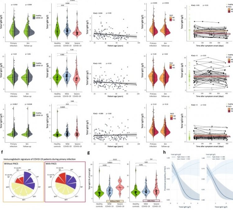 Long Covid: Βρέθηκε για πρώτη φορά μια μέθοδος πρόβλεψης του κινδύνου ανάπτυξης μακράς Covid-19 με βάση βιοδείκτες αντισωμάτων [Εγγραφο]