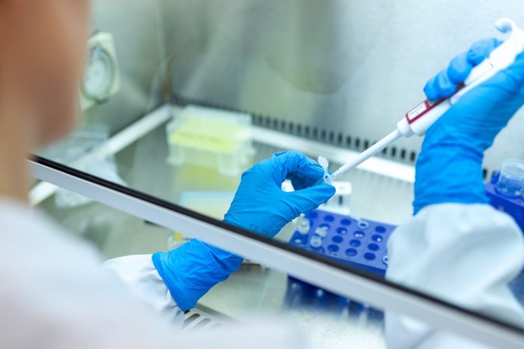 Coronavirus Disease: Ελπίδες για νέα θεραπεία κατά της Covid!! Μείωση θνητότητας και γρηγορότερη ανάρρωση, δείχνει Έρευνα!!