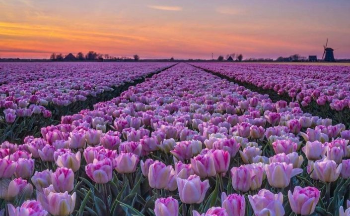 Happy Easter! Ευχές για Καλή Ανάσταση και Καλό Πάσχα από τον Δημοτικό Σύμβουλο Σταύρο Γρύμπλα