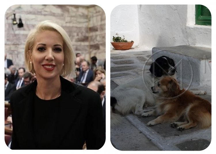 World Stray Animals Day: Η Κατερίνα Μονογυιού χαιρετίζει την Παγκόσμια Ημέρα Αδέσποτων Ζώων