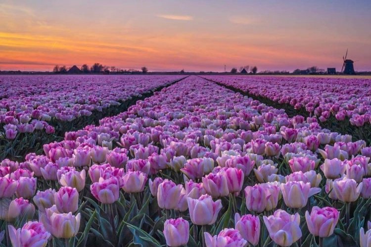 Happy Easter! Ευχές για Καλή Ανάσταση και Καλό Πάσχα από τον Δημοτικό Σύμβουλο Σταύρο Γρύμπλα