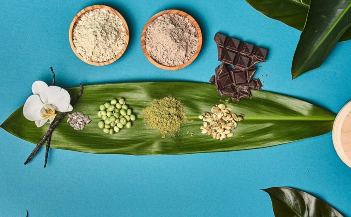 Plant Protein Build Muscle: Μπορούν οι φυτικές πρωτεΐνες να είναι εξίσου αποτελεσματικές με τις ζωικές, στην Αύξηση Μυϊκής Μάζας; [Έρευνα]