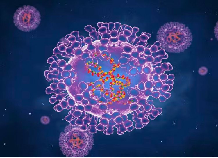 Monkeypox:  Ο ΕΟΔΥ ανακοίνωσε το πρώτο κρούσμα ευλογιάς των πιθήκων στη χώρα μας