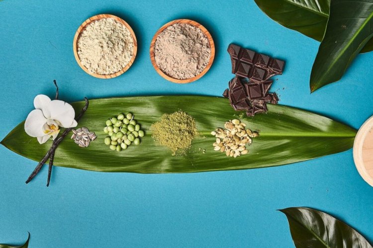 Plant Protein Build Muscle: Μπορούν οι φυτικές πρωτεΐνες να είναι εξίσου αποτελεσματικές με τις ζωικές, στην Αύξηση Μυϊκής Μάζας; [Έρευνα]