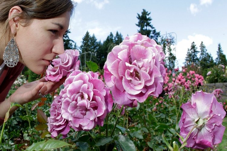 Improve Your Performance: Μπορεί η “σωστή” οσμή να μας κάνει πιο παραγωγικούς;