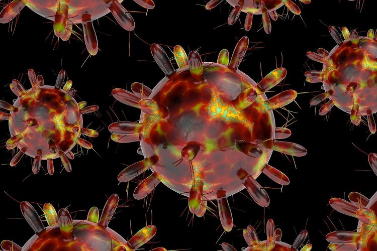 Centaurus variant: Η Υποπαραλλαγή “Κένταυρος” πρόκειται για έναν μεταδοτικό ιό, που δεν φαίνεται να είναι θανατηφόρος!! Τι ισχύει για μάσκα, τέταρτη δόση!!