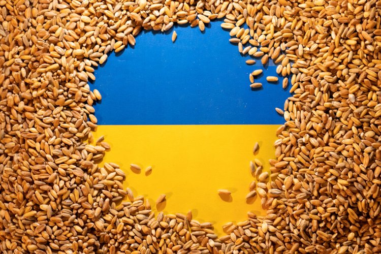 Ukraine, Russia sign grain export deal: Ουκρανία και Ρωσία υπέγραψαν τη συμφωνία για την εξαγωγή των ουκρανικών σιτηρών