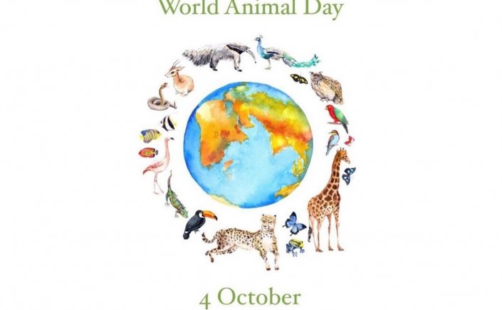 World Animal Day 2022 - Παγκόσμια Ημέρα Ζώων 2022 με θέμα: “Η σχέση του ανθρώπου με τα ζώα, είναι υπόθεση ηθικής”
