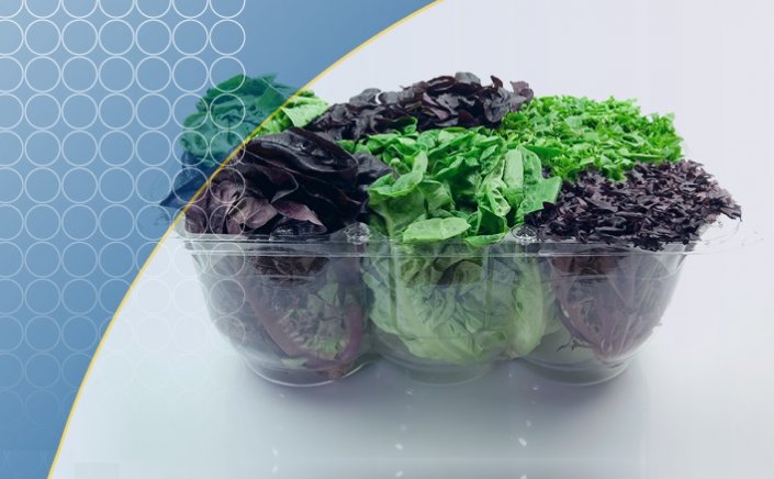 Packaged salads: Οι έτοιμες συσκευασμένες σαλάτες, είναι επικίνδυνες για σαλμονέλα [Έρευνα]