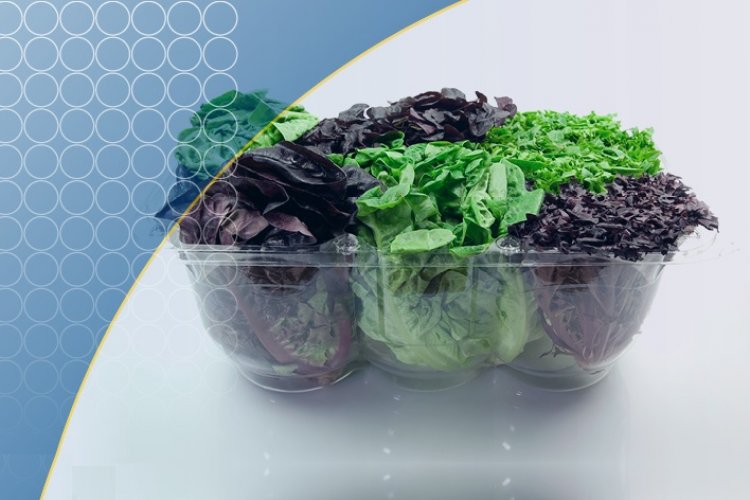 Packaged salads: Οι έτοιμες συσκευασμένες σαλάτες, είναι επικίνδυνες για σαλμονέλα [Έρευνα]