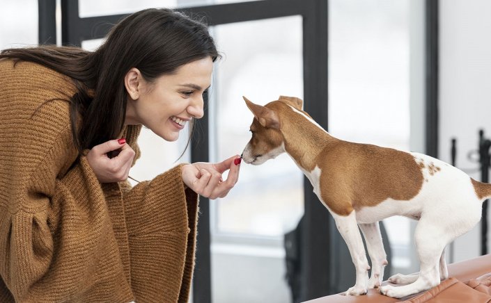 Προσοχή!! Ο ΕΟΦ άμεσα ανακαλεί από την αγορά, παρτίδες πασίγνωστου κτηνιατρικού φαρμάκου!!