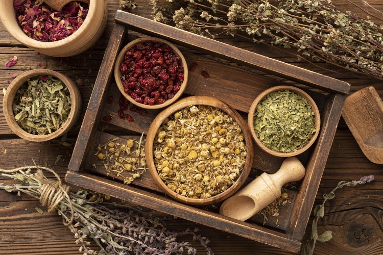 Live a Greener Life: Πώς μπορούμε να κάνουμε πιο “πράσινη” την καθημερινότητά μας;