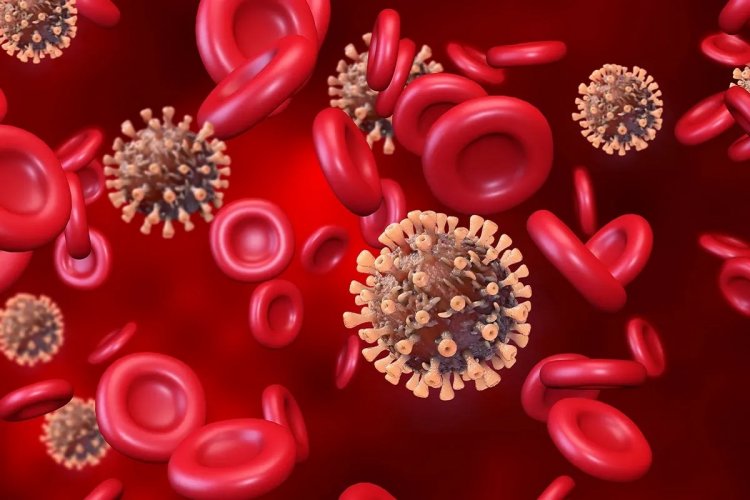 Coronavirus Disease: Το μυστήριο των άτρωτων λύθηκε!! Τι είχαν τελικά όσοι δεν κόλλησαν ποτέ κορωνοϊό!!