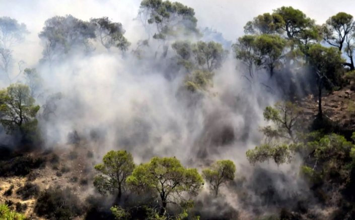 Wildfire in Rhodes: Μεγάλες εστίες  στη Ρόδο - Σε κατάσταση έκτακτης ανάγκης 3 Δημοτικές Ενότητες!! Φθάνουν εθελοντές πυροσβέστες από την Μάλτα!!