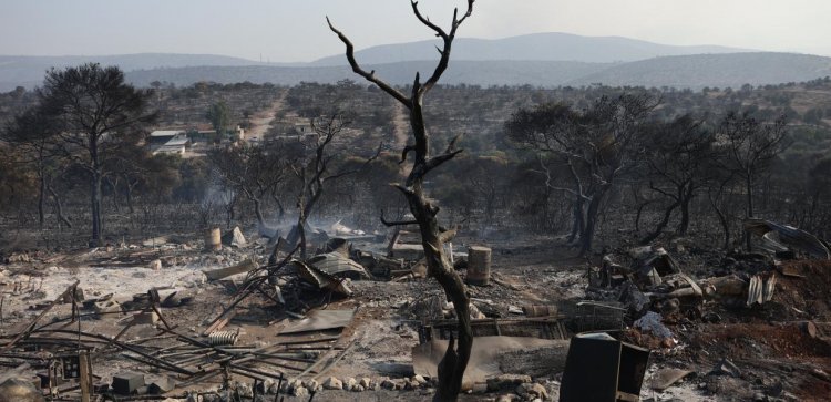Wildfire in Greece: Τραγικός απολογισμός από τις Πυρκαγιές!!  Στάχτη πάνω από 170.000 στρέμματα μέσα σε τρεις μέρες!!
