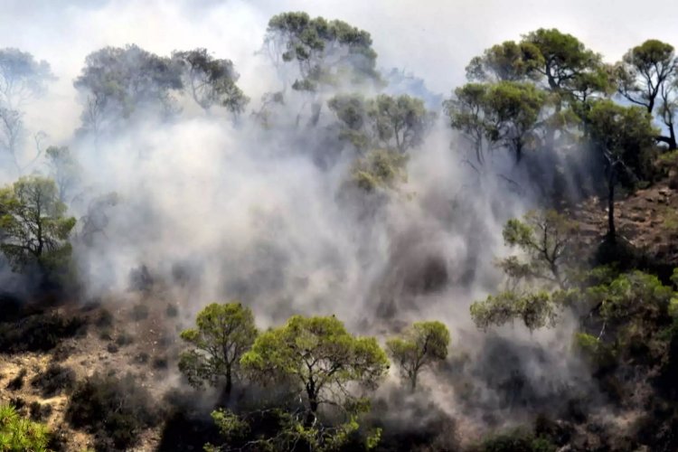 Wildfire in Rhodes: Μεγάλες εστίες  στη Ρόδο - Σε κατάσταση έκτακτης ανάγκης 3 Δημοτικές Ενότητες!! Φθάνουν εθελοντές πυροσβέστες από την Μάλτα!!