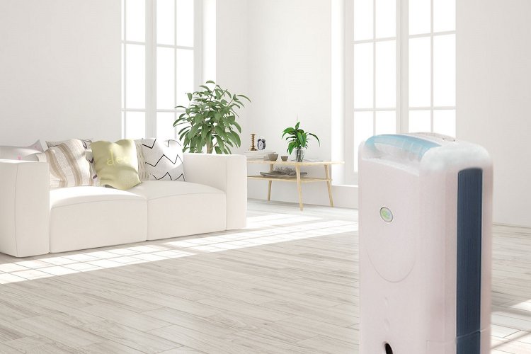 Is a dehumidifier more useful in the summer? 4 λόγοι για να πατήσετε «on» στο αφυγραντήρα το καλοκαίρι!!