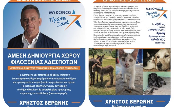World Animal Day - Χρήστος Βερώνης: Άμεση προτεραιότητα η δημιουργία δομής φιλοξενίας και περίθαλψης αδέσποτων ζώων