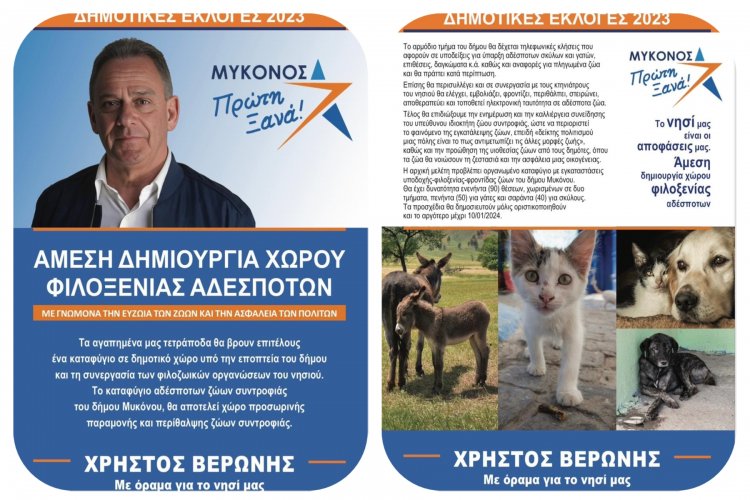 World Animal Day - Χρήστος Βερώνης: Άμεση προτεραιότητα η δημιουργία δομής φιλοξενίας και περίθαλψης αδέσποτων ζώων