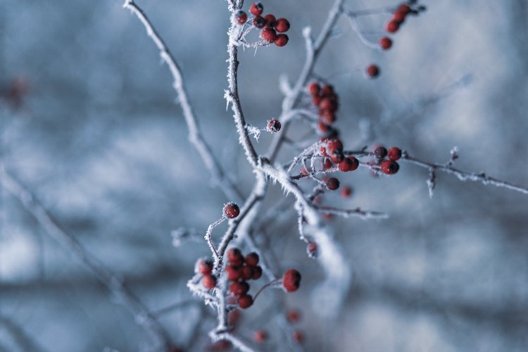 Annual Weather:Τα μερομήνια δείχνουν πως, τέλη Νοεμβρίου έρχεται ο χειμώνας!! Έντονα φαινόμενα και πολικό ψύχος και χιόνια παντού μέχρι τον Απρίλιο!!