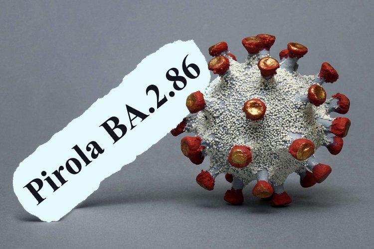 Covid Variants: Μεταλλάξεις Κορωνοϊού!! Στα ύψη η «Kraken» - 163 τα κρούσματα της «Pirola»