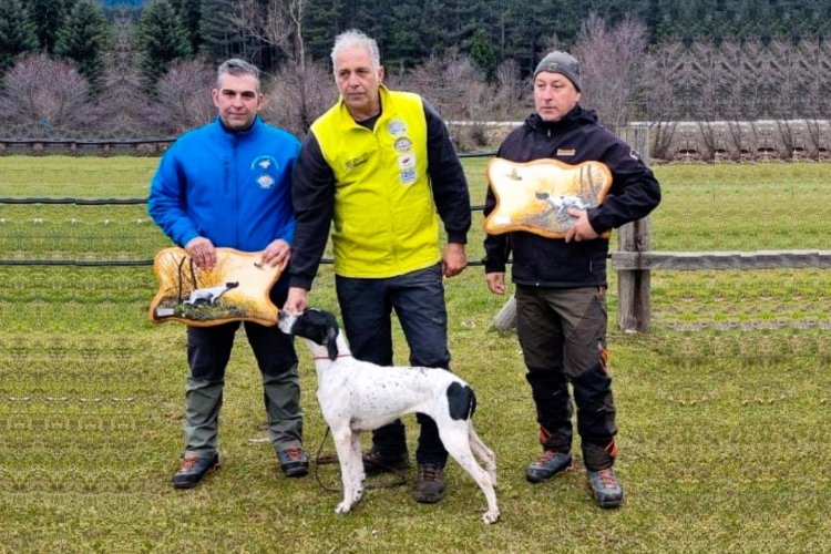 Campeão da Europa Galinhola: Η Gouzelpe Mado  των Γιώργου Καλαμαρά και Δημήτρη Γκουζούνα κατέκτησε το Τρόπαιο μπεκάτσας ΟΚΑΔΕ 2023