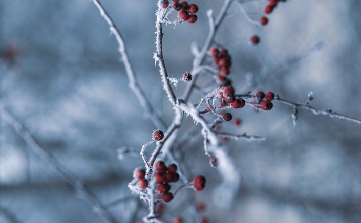 Annual Weather: Επιβεβαιώνουν την ψυχρή εισβολή Μαρτίου τα Μερομήνια 2024 - Πότε θα χιονίσει