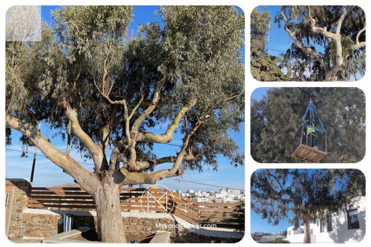 DME Marsoula Chanioti: Με γνώμονα  την ασφαλή και απρόσκοπτη λειτουργία των σχολικών μας μονάδων, θα συνεχίσουμε το έργο μας [Εικόνες]