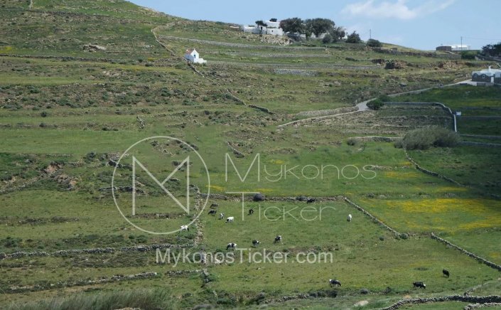 Forest Maps: Στους Δασικούς Χάρτες  τα πρόδηλα σφάλματα θα εξετάζονται κατά προτεραιότητα