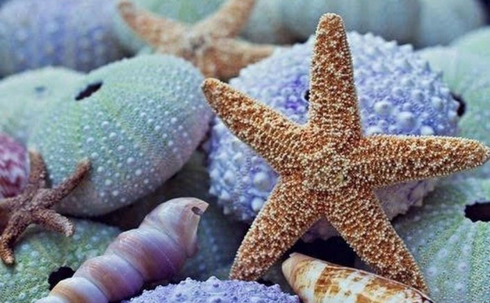 Καλό μήνα!! Καλώς Ήρθες Ιούνιε!! Καλό Καλοκαίρι!!