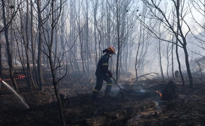 Political Development: Στις φλόγες το πολιτικό σύστημα