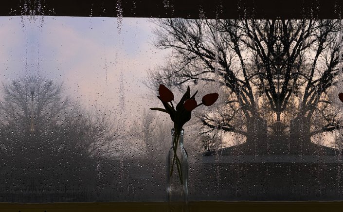 Plants & dehumidifier at home: Αυτά τα φυτά θα αντικαταστήσουν με φυσικό τρόπο τον αφυγραντήρα στο σπίτι σας!!