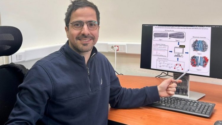 Alzheimer's Disease (AD) and Amyloid fibrils: Ερευνητές μελετούν μυστηριώδεις περιοχές πρωτεϊνών-υπεύθυνων για το Αλτσχάιμερ - Ζαχαρίας Φαίδων Μπροτζάκης