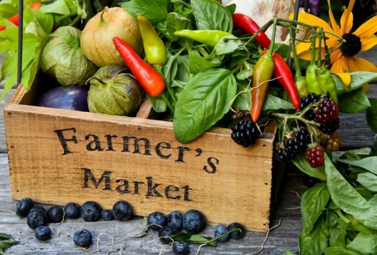 Farmers' markets and tourism: Πρόταση για διασύνδεση των λαϊκών αγορών με τον τουριστικό χάρτη της χώρας