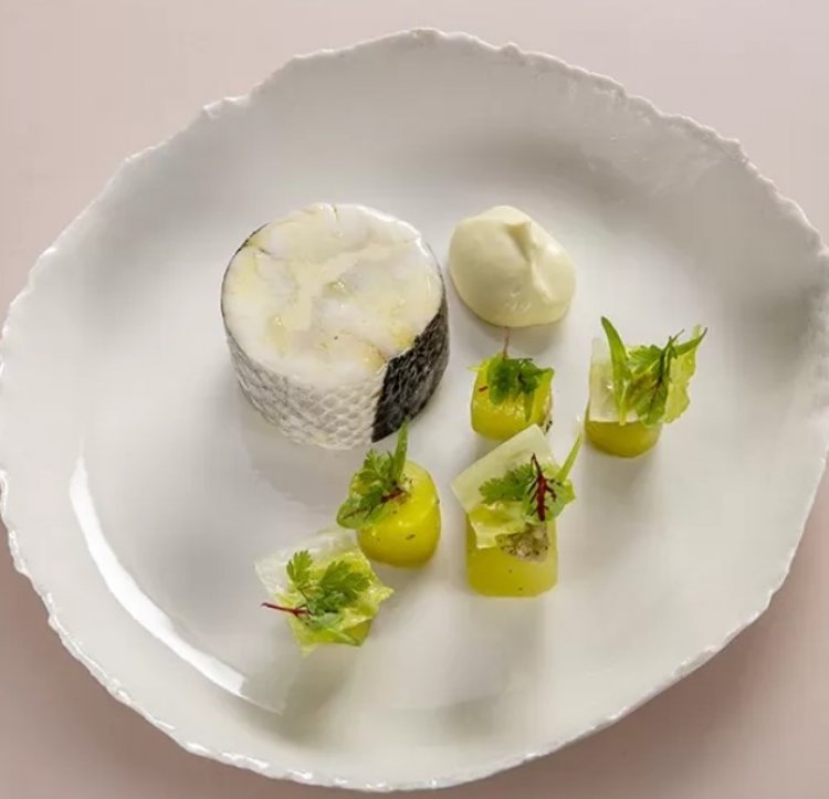 Cœur de Celtuce Glacé, Mousse à l’huile d’olive, Bar de Ligne étuvé