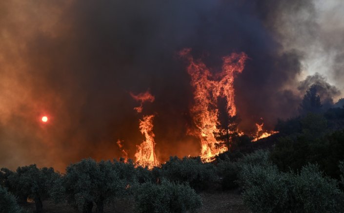Chios wildfire: Φωτιά στη Χίο!! «Απελπιστική η κατάσταση, με φλόγες 30 μέτρα» - Μάχη να κοπεί το μέτωπο πριν τα μαστιχόδεντρα!!