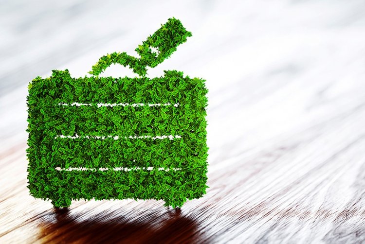Hotels Go Big on Sustainability: Στροφή στη βιωσιμότητα για τα ελληνικά ξενοδοχεία - Το 20% των επενδύσεων κατευθύνεται σε πράσινες δράσεις σύμφωνα με έρευνα ΙΤΕΠ