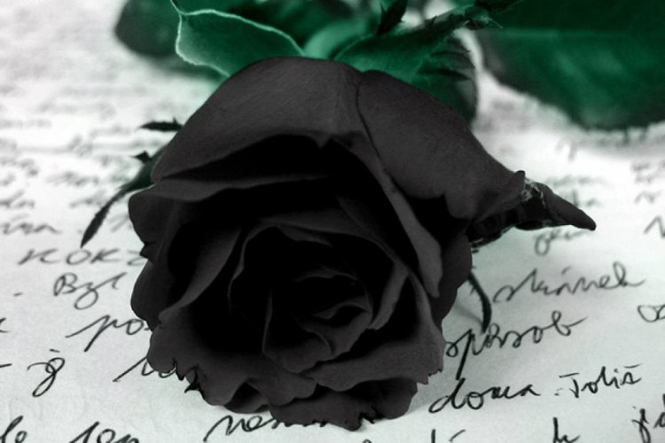 Notable Death: Συλλυπητήριο μήνυμα της Ένωσης Κυκλαδικού Τύπου για τον αδόκητο θάνατο του διακεκριμένου στελέχους της Αντώνη Παπακωνσταντή