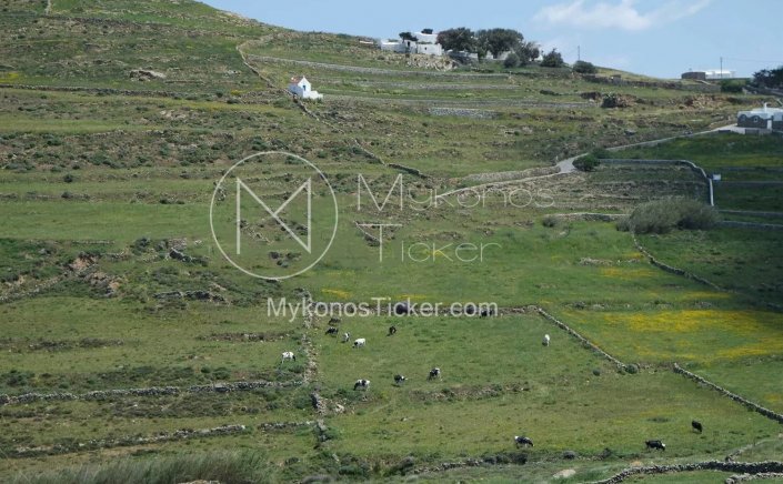 Digital Cadastre: Τα βήματα του εξωδικαστικού για να ξεμπλοκάρουν ακίνητα που εμφανίζονται ως δασικά και κινδυνεύουν να καταγραφούν ως «δημόσια» στο Κτηματολόγιο!!