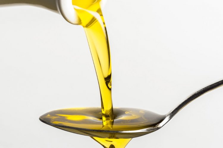 Olive Oil Price: Δυσοίωνες οι προβλέψεις για την τιμή του ελαιόλαδου, γιατί αναμένονται αυξήσεις