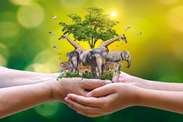 World Animal Day 2025 - Παγκόσμια Ημέρα Ζώων 2025 με θέμα: “Save Animals, Save the Planet”- “Σώστε τα ζώα, σώστε τον πλανήτη” - Η σχέση του ανθρώπου με τα ζώα από την αρχαία Ελλάδα μέχρι σήμερα!!