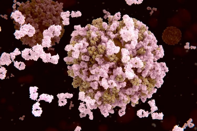 Influenza: Ο Τζανάκης, για τις ανησυχίες που προκαλεί το νέο υποστέλεχος «Κ» της γρίπης Α & τα ερωτηματικά για την αποτελεσματικότητα των εμβολίων